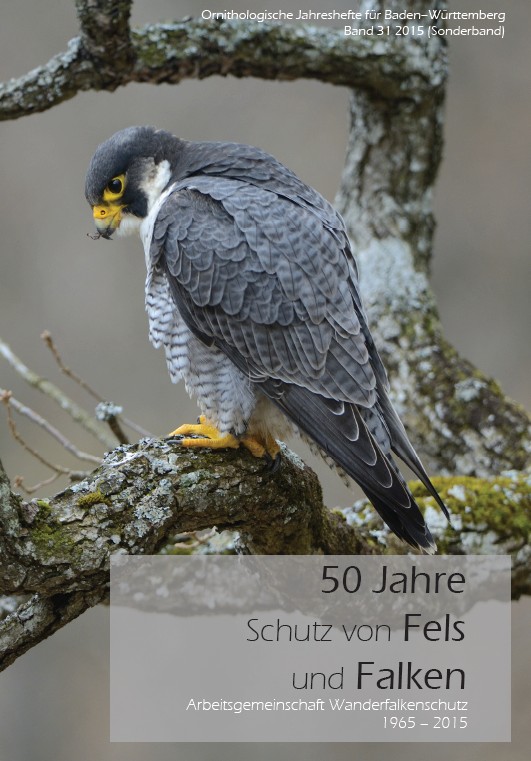 der titel